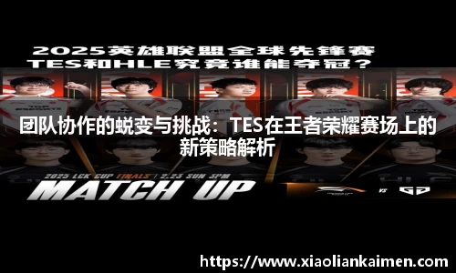 奇异果体育mgty下载